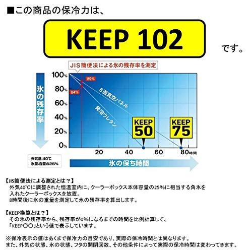 ダイワ(DAIWA) クーラーボックス RX SU3200X ホワイト/シルバー 釣り 32リットル ホワイト/シルバー 1面真空パネル cm