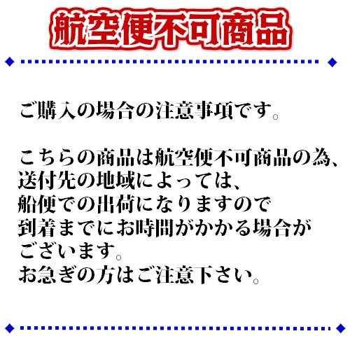 船底塗料　シージェット033　黒　中国塗料　マリン　2L