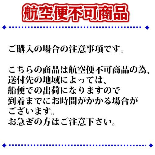 トーハツ 2サイクル 1L 直噴エンジンオイル TLDI専用オイル MDプラチナオイル|east-m|03