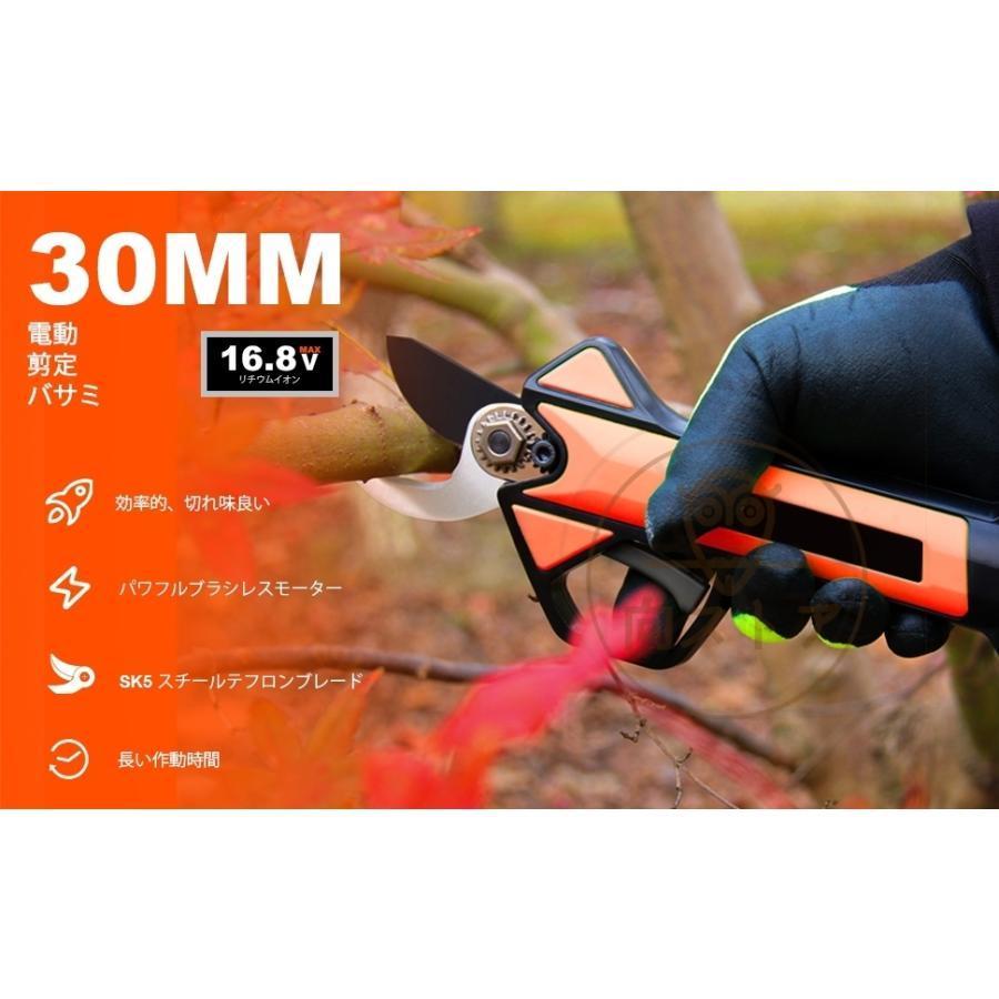 電動剪定バサミ テフロン非粘着性コーディング刃 16.8V コードレス 充電式剪定ばさみ 軽さ・スピード・切れ味の頂点機種 電動枝切り鋏 持ち運び便利 プロ剪定鋏 