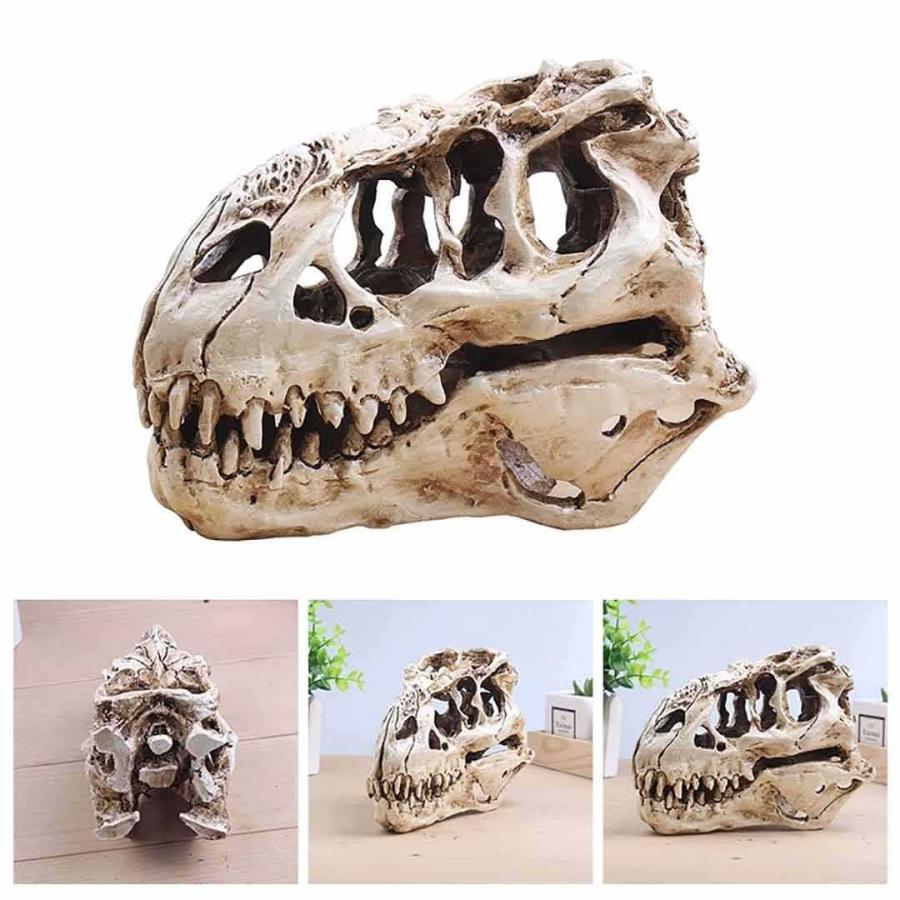恐竜 ティラノサウルス 頭蓋骨 骨 骨格 模型 頭 置物 玩具 バースデー おもちゃ 男の子 ど迫力 Birthday ダイナソー ジュラ紀 ジュラシック 白亜紀 子供 キッズ｜east-st｜05