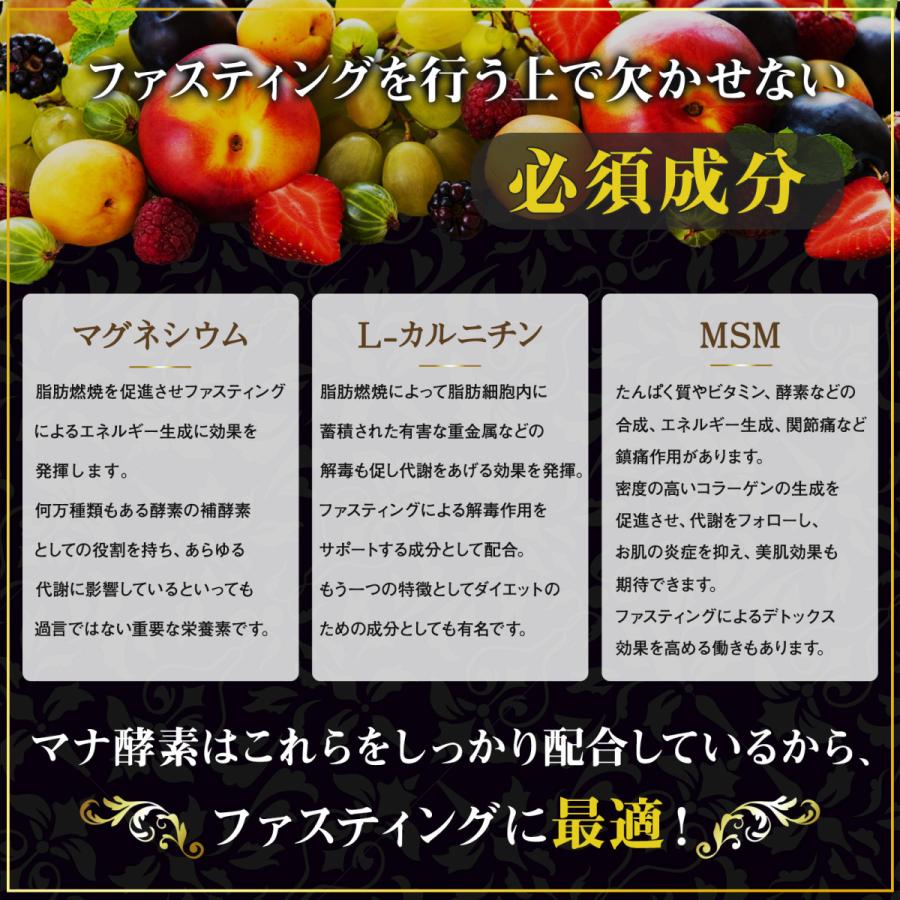マナ酵素 MANA酵素 酵素ドリンク 無添加 500ml ファスティング マナ酵素 MANA酵素 酵素ドリンク 無添加 500ml ファスティング
