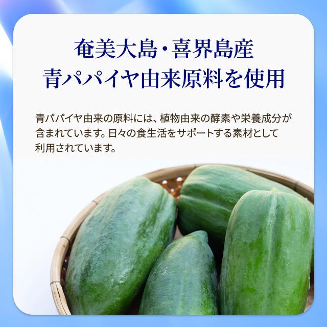マナ酵素 MANA酵素 酵素ドリンク 500ml 4本セット 無添加 醗酵飲料