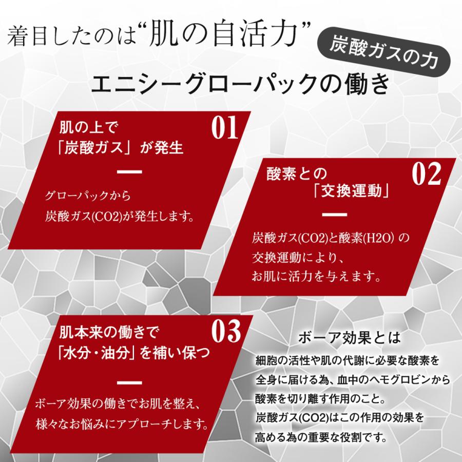 エニシーグローパック 正規品 炭酸ガスパック 10回分 エニシー