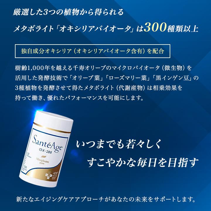 サンテアージュ ニナファーム OX-288 180粒 1ヵ月分 サンテアージュ ニナファーム OX-288 180粒 1ヵ月分