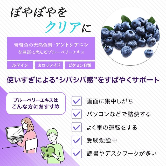中華のおせち贈り物 DHCブルーベリーエキス 徳用90日180粒 DHC ブルーベリーエキス 徳用90日分 180個 (x 1)