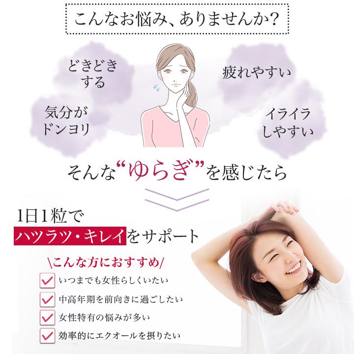 DHC エクオール 20日分 × 5袋 DHC 20日分 大豆イソフラボン エクオール ( 20粒 )/ DHCサプリメント