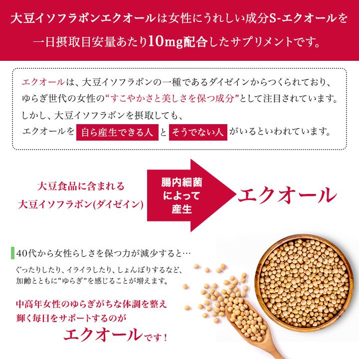 DHC 大豆イソフラボン エクオール 20日分 20粒 3袋セット サプリメント