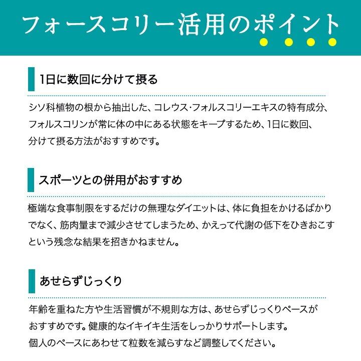 DHC フォースコリー 20〜40日分 80粒 3袋セット サプリメント 健康食品