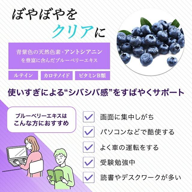 DHC ブルーベリーエキス 60日分 120粒 サプリメント 健康食品