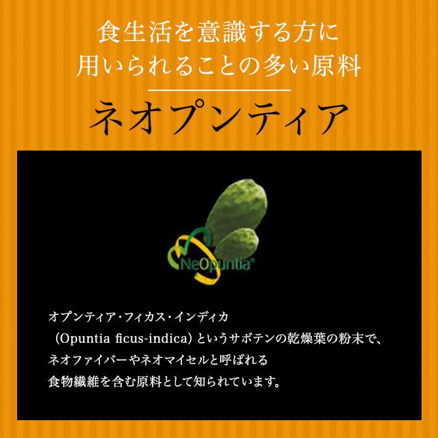 Esthe Pro Labo（エステプロ・ラボ） トリプルカッターEX グランプロ