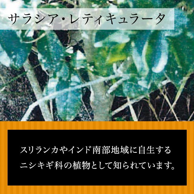 Esthe Pro Labo（エステプロ・ラボ） トリプルカッターEX グランプロ
