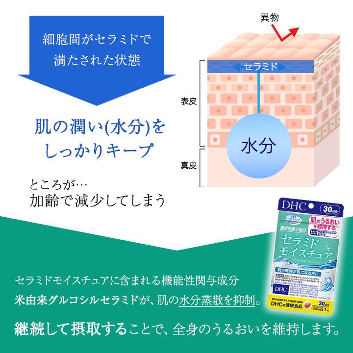 DHC セラミドモイスチュア 30日分 30粒 2袋セット サプリメント
