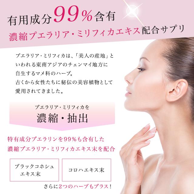 DHC 濃縮プエラリアミリフィカ 30日分 90粒 2袋セット サプリメント