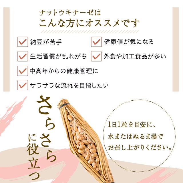 DHC ナットウキナーゼ 30日分 30粒 サプリメント 健康食品 納豆