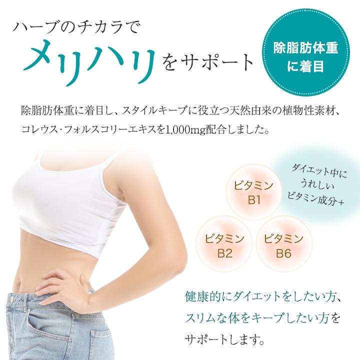 DHC フォースコリー 30〜60日分 120粒 サプリメント 健康食品