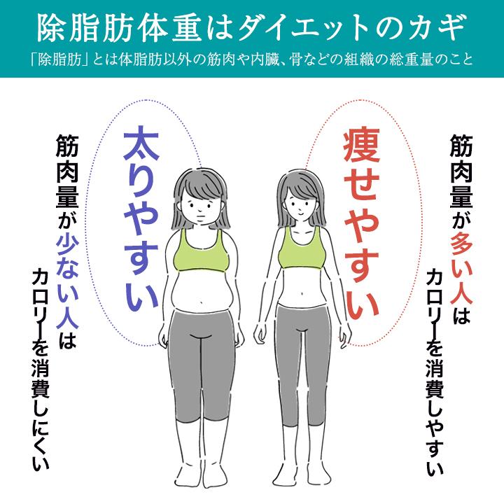 DHC フォースコリー 30〜60日分 120粒 サプリメント 健康食品