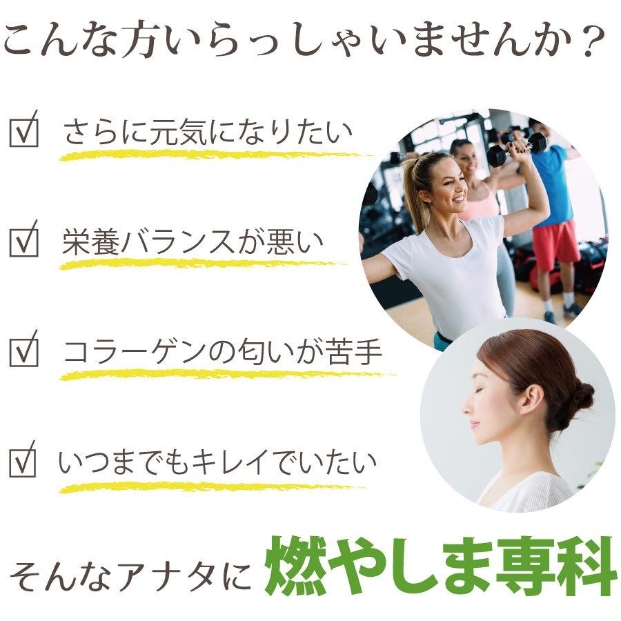 燃やしま専科 レモン風味 500g クエン酸 コラーゲン サプリ ダイエット 粉末 健康飲料 健康ドリンク もやしま専科 スポーツ ドリンク ビタミン｜east-toraya｜06