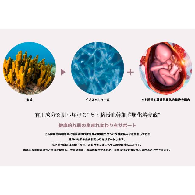 ハリトス コルセットファンデーション 15g 2個セット HT 韓国コスメ