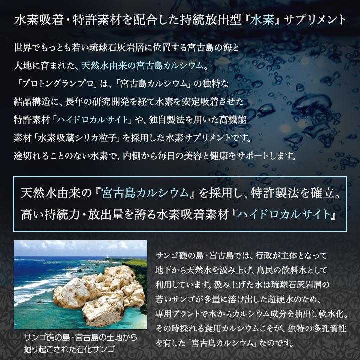 エステプロラボ プロトングランプロ 60粒 サプリメント カルシウム加工食品 ボディメイク｜east-toraya｜02