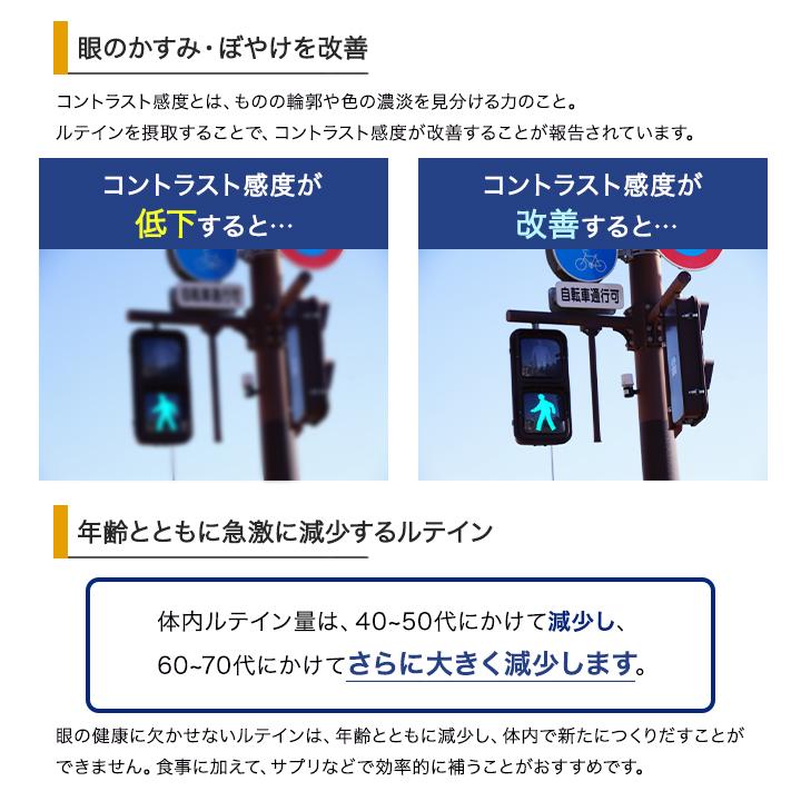 DHC ルテイン光対策 60日分 60粒 3袋セット サプリメント 機能性表示