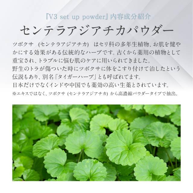 SPICARE V3 セットアップパウダー スムース 11.5g smooth フェイス