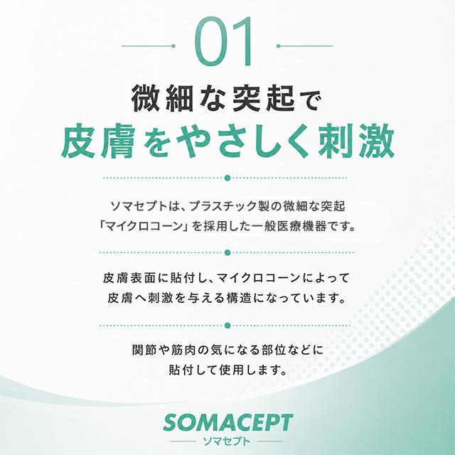 東洋レヂン ソマセプト L 100個入り メディカルパッチ 自宅 血行 ツボ