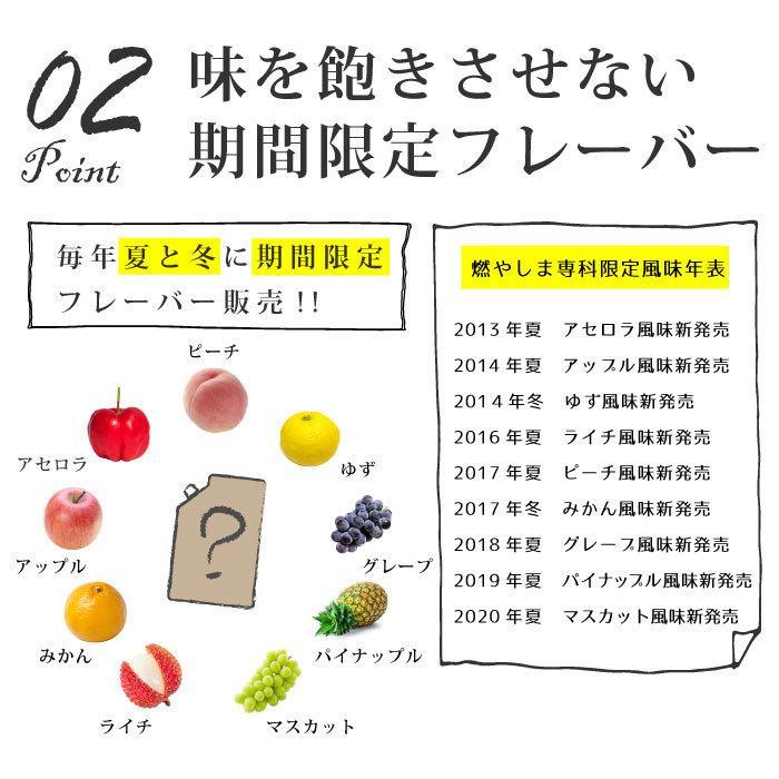 燃やしま専科 みかん風味 500g エナジークエスト クエン酸 コラーゲン