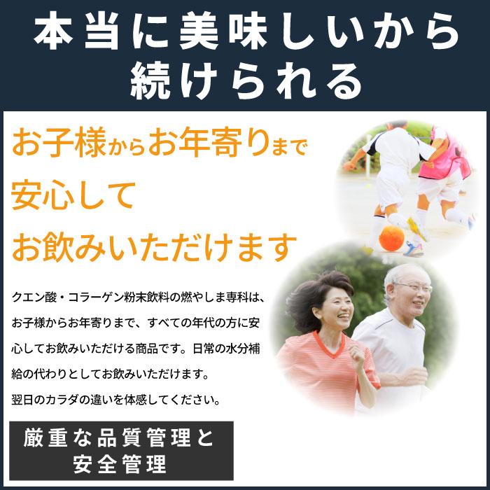 燃やしま専科 みかん風味 500g エナジークエスト クエン酸 コラーゲン