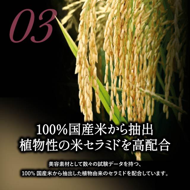 エステプロラボ　ジュレ フィト イエロー　2個セット　食べる酵素 エステプロラボ ジュレ フィト イエロー 2個セット 食べる酵素 【公式