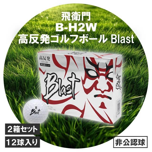 【新品24球】違反球 非公認球 飛び系セット 高反発 AIRFLASH ティー付 飛衛門（TOBIEMON） 非公認球 ゴルフボール ホワイト 2ダース 12球入り