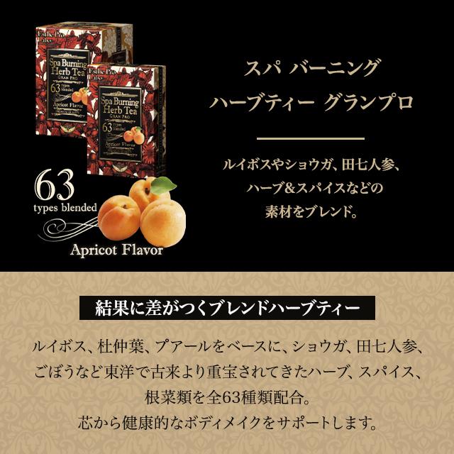 GRAN PRO. エステプロラボ プロフェッショナルユース ハーブ