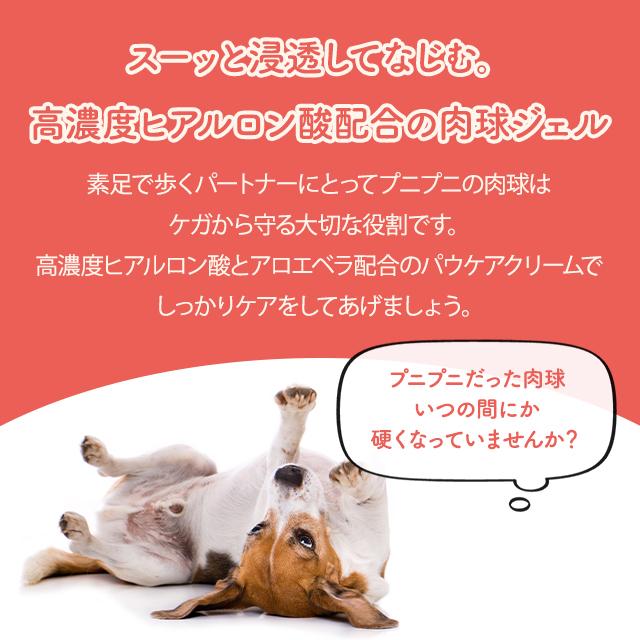 PANA-ZOO（パナズー） パウケアクリーム 60g 3個セット 肉球クリーム