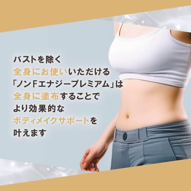 NONF マッコイ ノンFエナジープレミアム 650g NONFエナジー NONF マッコイ ノンFエナジープレミアム 650g NONFエナジー