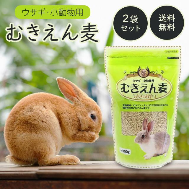 アラタ うさぎ・小動物用 むきえん麦 700g 2個セット うさぎ ウサギ