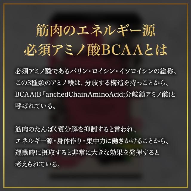 Gran Move エステプロラボ プラクティスサイクル 20包 2箱セット