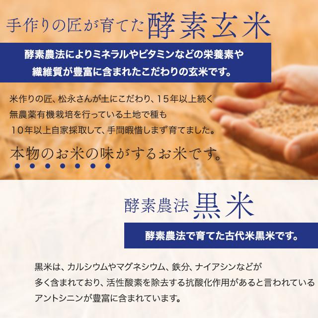 酵素玄米 黒テンペ粥 250g 3袋セット おかゆ お粥 ファスティング 準備