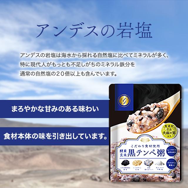 酵素玄米 黒テンペ粥 250g 3袋セット おかゆ お粥 ファスティング 準備