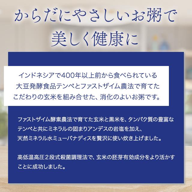 酵素玄米 黒テンペ粥 250g 6袋セット おかゆ お粥 ファスティング 準備