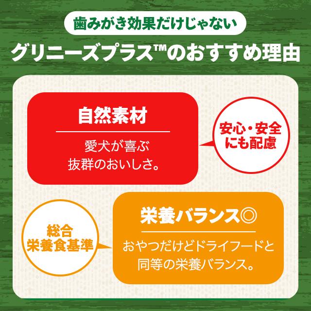 グリニーズ プラス 歯磨き専用ガム 6本入 成犬用 大型犬用 体重22-45kg