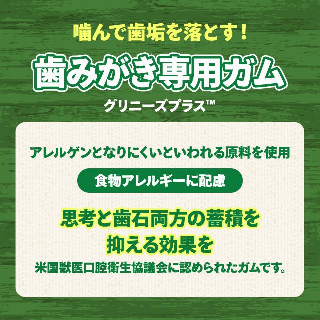 グリニーズ プラス 歯磨き専用ガム 6本入 2袋セット 成犬用 大型犬用