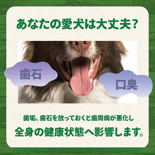 グリニーズ プラス 歯磨き専用ガム 6本入 2袋セット 成犬用 大型犬用