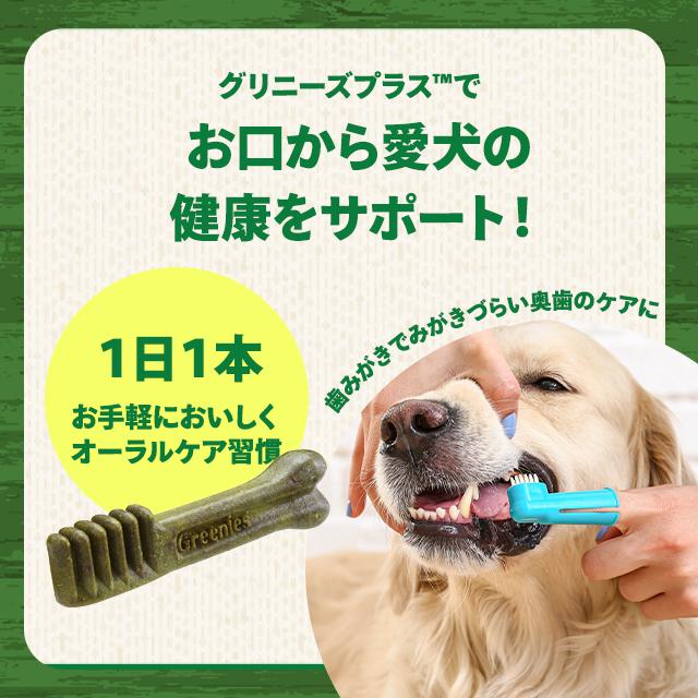 グリニーズ プラス 歯磨き専用ガム 6本入 2袋セット 成犬用 大型犬用