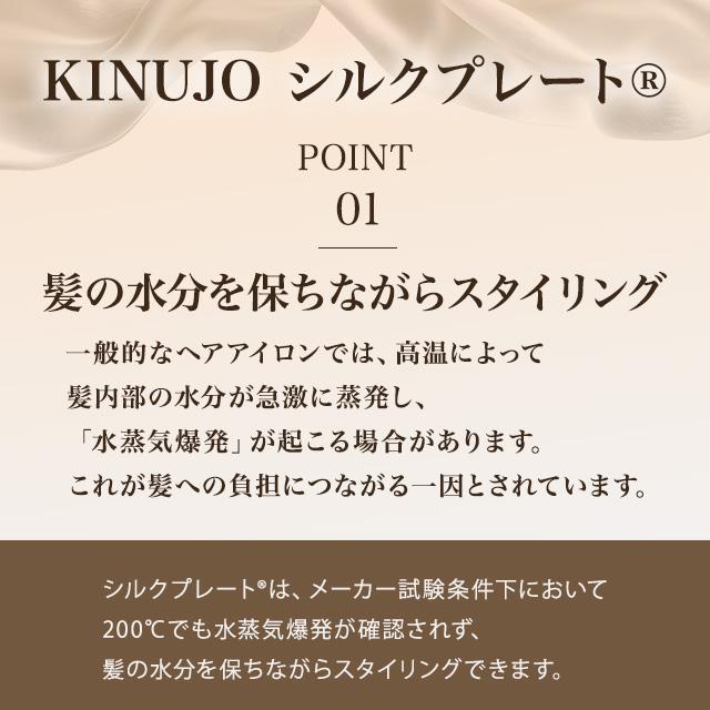 KINUJO（絹女） ストレートアイロン 海外対応 DS100 DS200 DS200-BK
