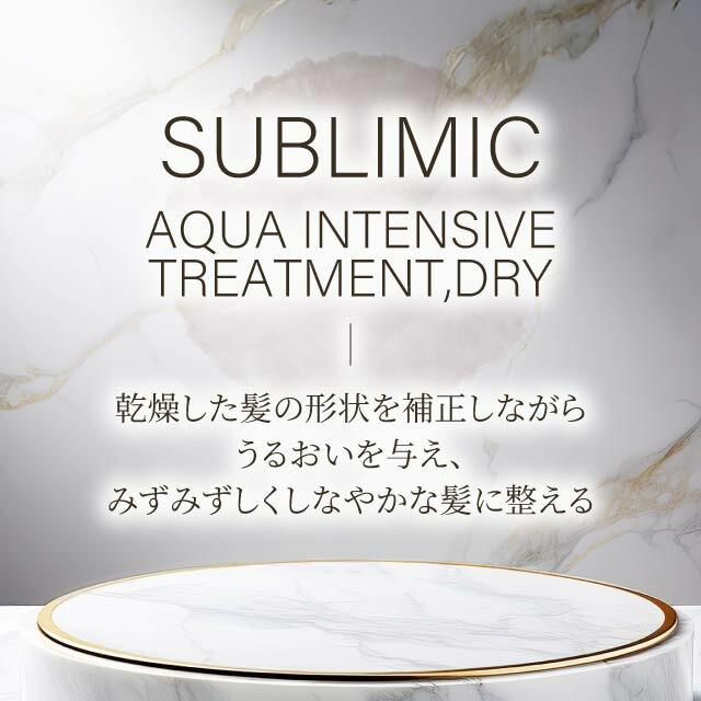 SUBLIMIC 資生堂 サブリミック アクアインテンシブ トリートメント D W