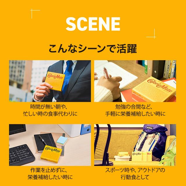 カロリーメイト ブロック アソートパック 20箱入 5種類×4箱 バニラ味