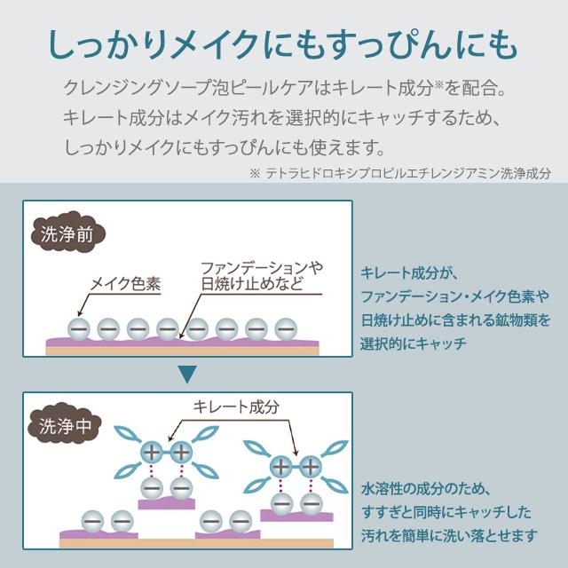 plus RESTORE（プラスリストア） クレンジングソープ泡ホームケア