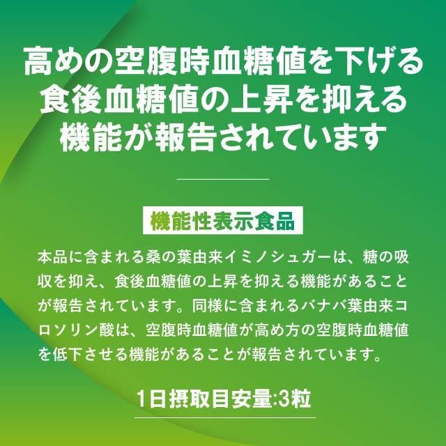 DHC 血糖値ダブル対策 20日分 60粒 2袋 サプリメント サプリ