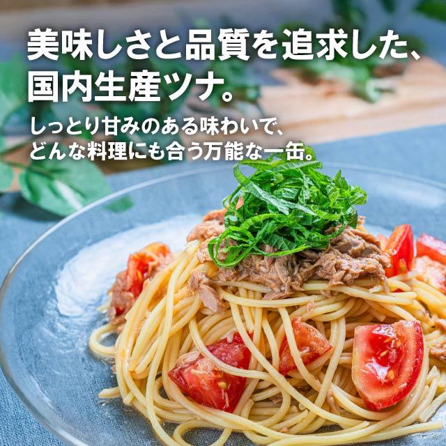 MARUHA NICHIRO（マルハニチロ） 国内生産 ツナフレーク ライトミート