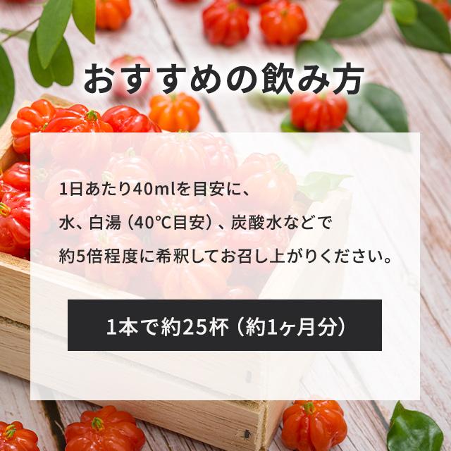IZM 酵素ドリンク アセロラ テイスト 1000ml イズム 酵素